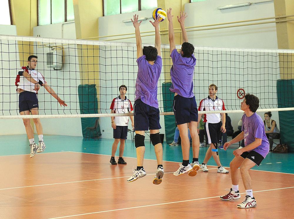 Volleyballers are among the athletes to benefit from vibration training methods / PHOTO: © shutterstock/ Paolo Bona
