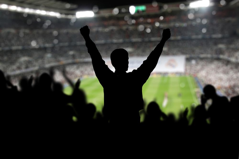 Sport is a global business and 
as a result, is routinely taken into 
consideration by legislators / PIC: ©shutterstock/Sergey Nivens