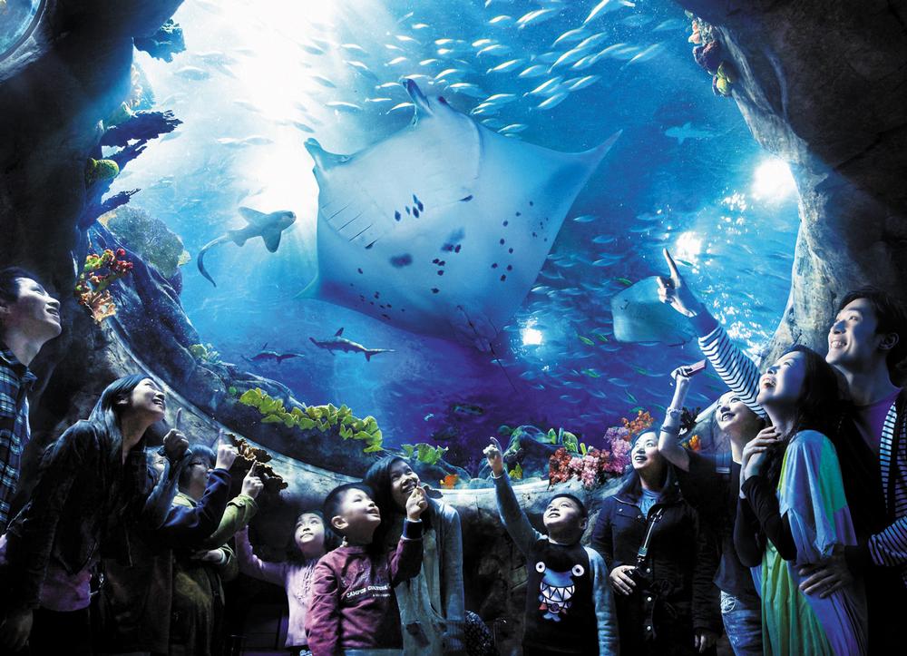 Ocean Park consists of a marine park, zoo, aquarium, waterpark and theme parks