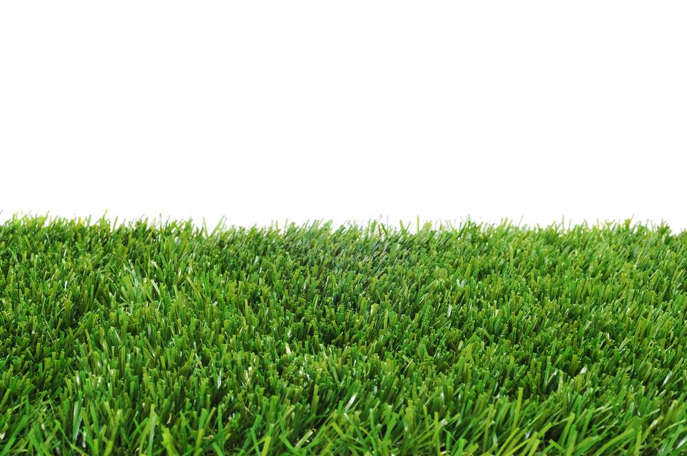 Is The Grass Always Greener? / PIC: ©www.shutterstock.com