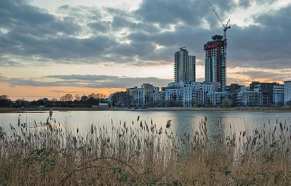 Woodbury Wetlands is a London reservoir and urban wetland oasis / PHOTO: PENNY DIXIE