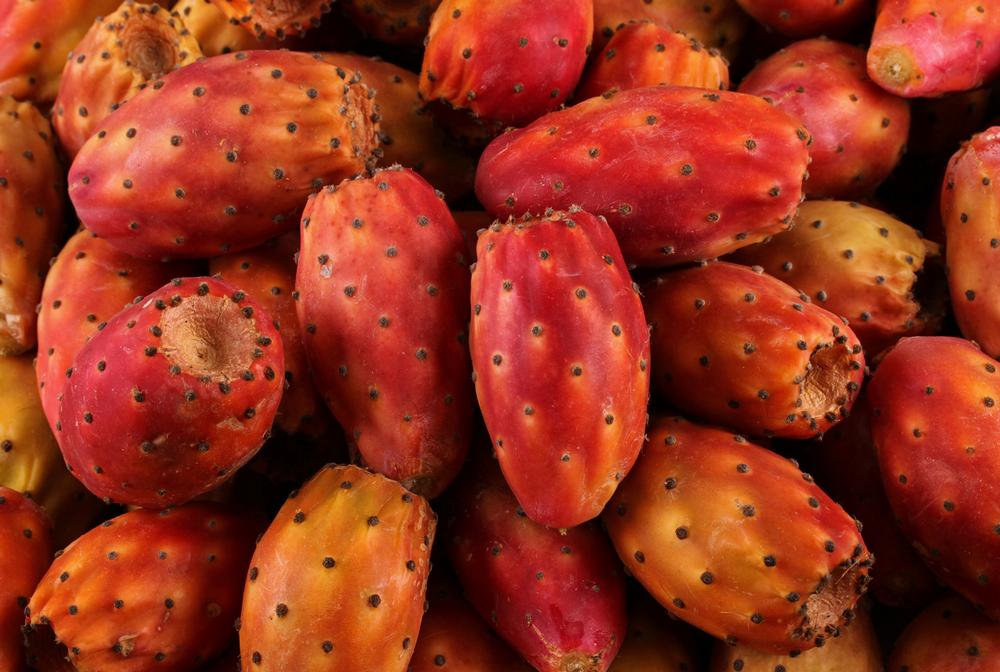 The company is currently developing skin products with prickly pear / shutterstock
