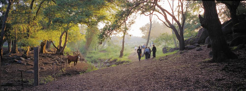 The Szekely family owns 3,000 acres of land around Rancho La Puerta and has protected the area against development
