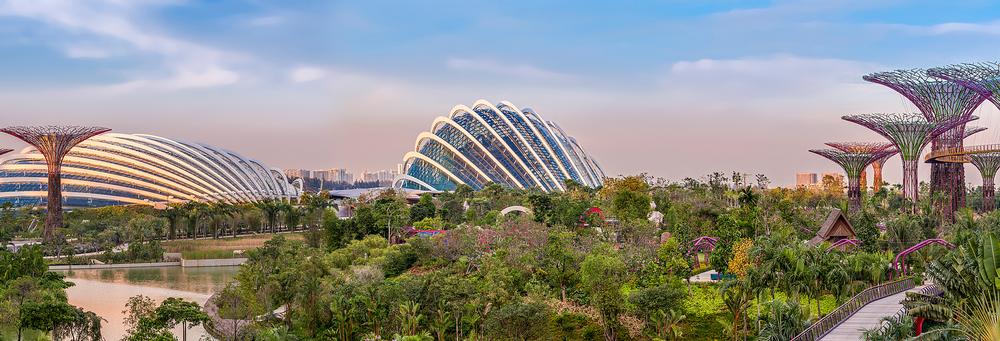 Gardens by the Bay is a key part of the government's vision to create a 'city in a garden'