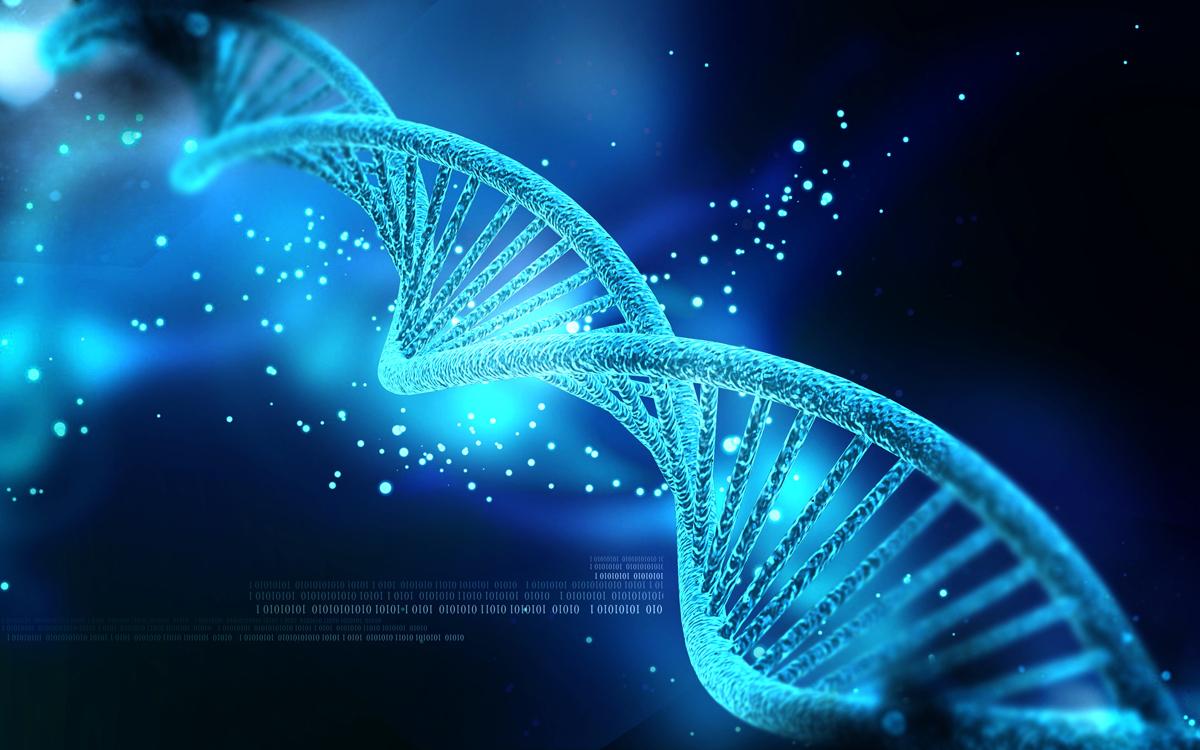 The advanced understanding of genetic codes and the potential for targeted treatments could have major implications for wellness / Shutterstock.com