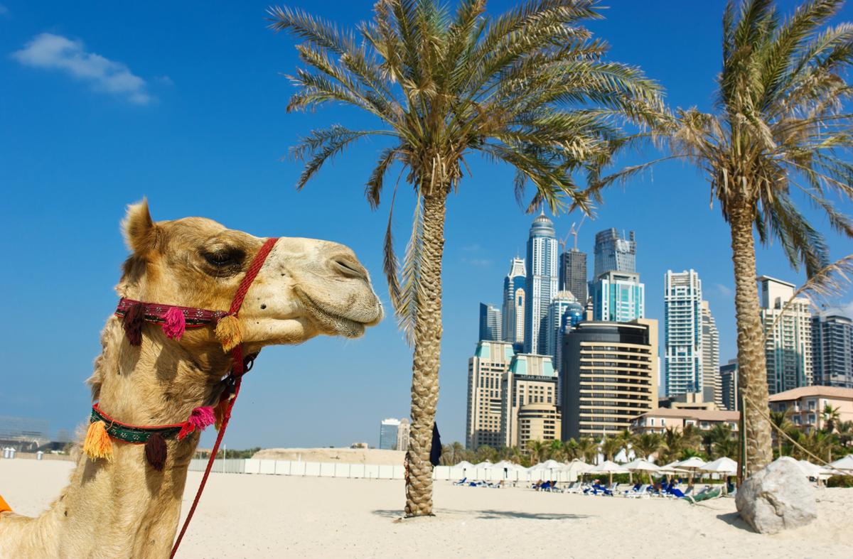 Mandarin Oriental will add to Dubai's hospitality offering in time for the world trade Expo 2020 / Shutterstock / Laborant
