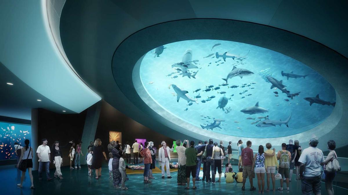According to museum CEO Gillian Thomas, the site will leave visitors with 'a sense of wonder' / Patricia and Phillip Frost Museum of Science 
