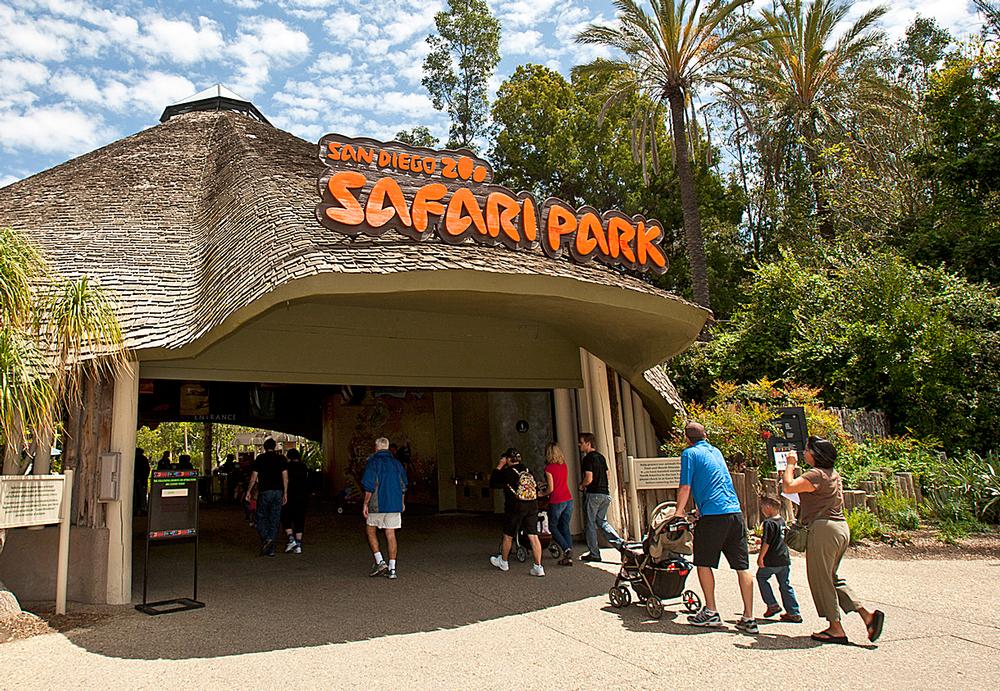 San Diego Zoo Safari Park covers an 1,800-acre site and is home to more than 300 species. Many of them roam freely through large, spacious enclosures. The Africa Tram ride (top left) is popular with visitors