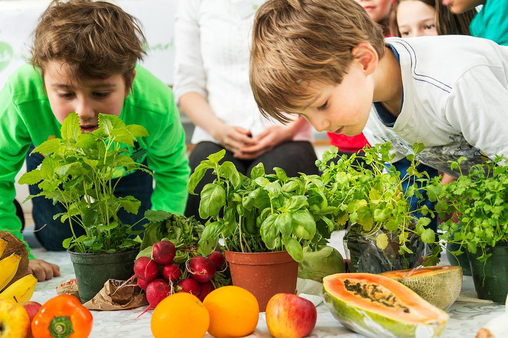 ‘Eat for Smart’ is one of the Foundation’s charitable programmes, offering free nutrition courses at schools and kindergartens across Munich