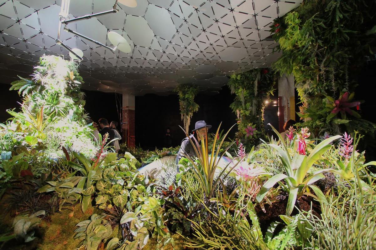 The Lowline Lab, launched this week, is a research laboratory designed to explore what plants will be able to grow in the darkened conditions of the Lowline / RAAD Studio