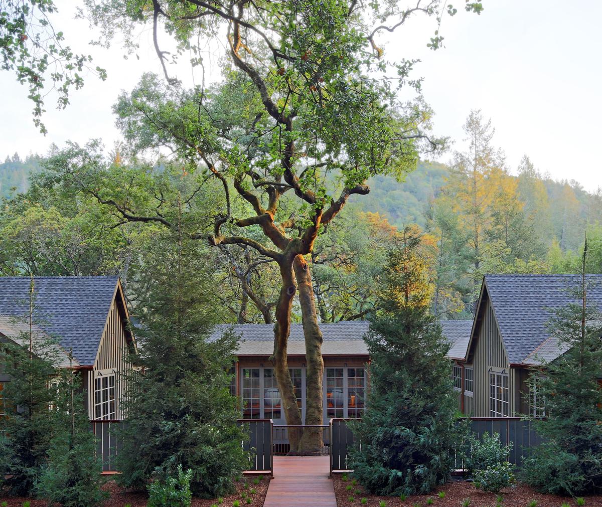 A majestic oak tree is preserved and celebrated at the spa’s entrance, with a hand-forged circular iron fence guarding its perimeter and flanked on both sides by two boutiques / Meadowood