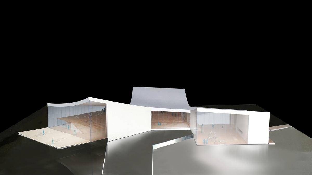 All the interiors will be linked by a curved, unifying roof / Schmidt Hammer Lassen All the interiors will be linked by a curved, unifying roof / Schmidt Hammer Lassen