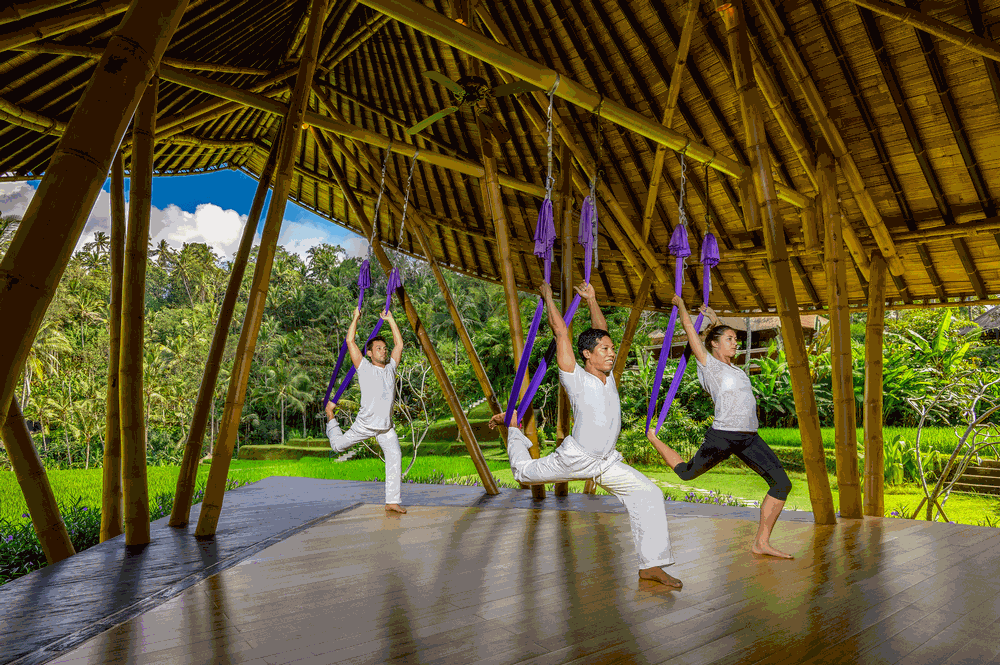 The AntiGravity moves are said to release endorphins and seratonin 