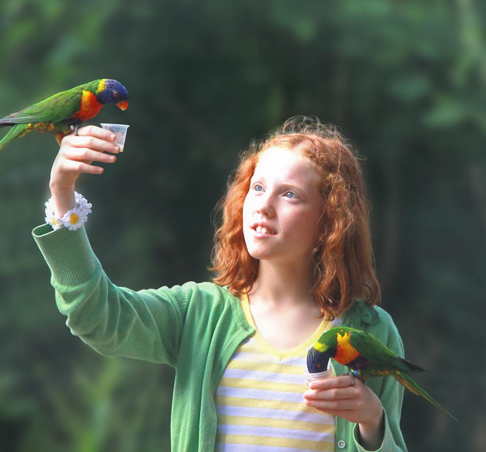 The UK safari park has seen attendance rise 25 per cent in recent years The UK safari park has seen attendance rise 25 per cent in recent years