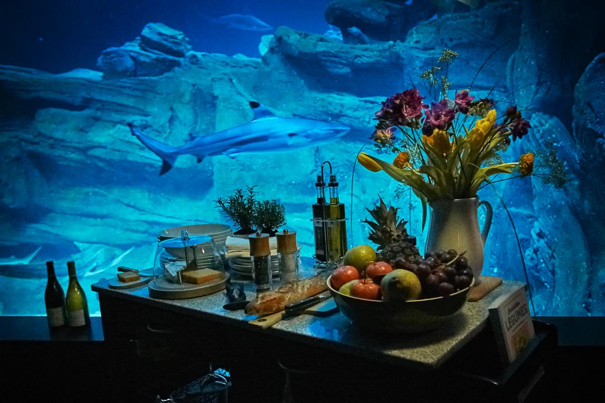Guests will dine under the water, surrounded by the sharks / Airbnb