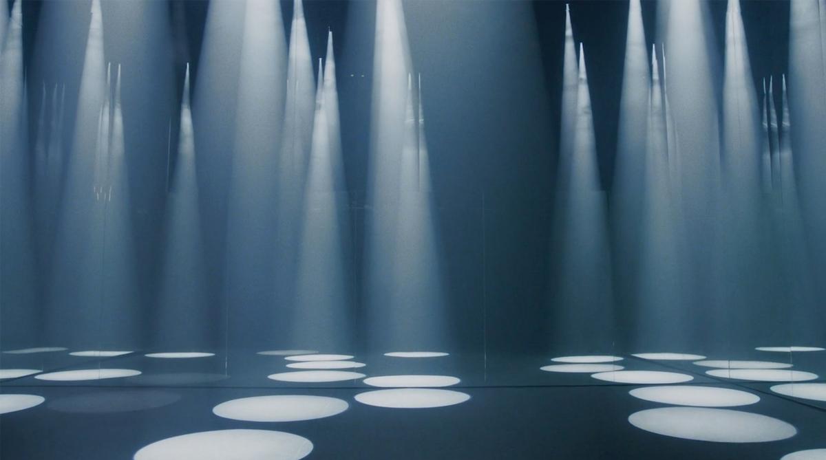 Coonical spotlights form a forest of countless abstract trees / COS