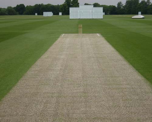 Reformulated seed for cricket pitches