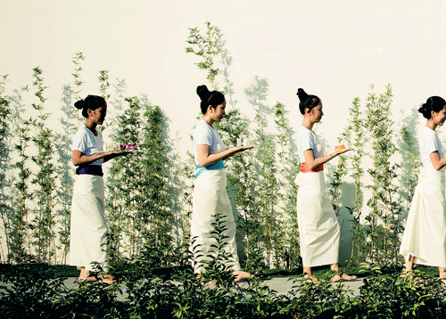 Vietnamese vision