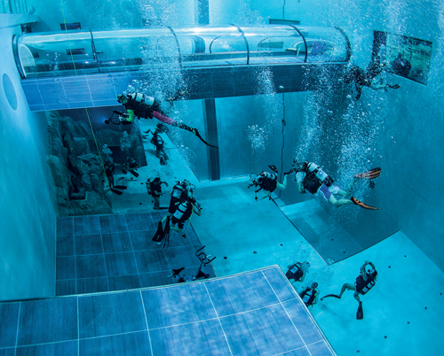 Dive in