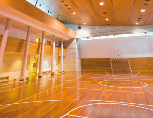 Developing the right sports hall