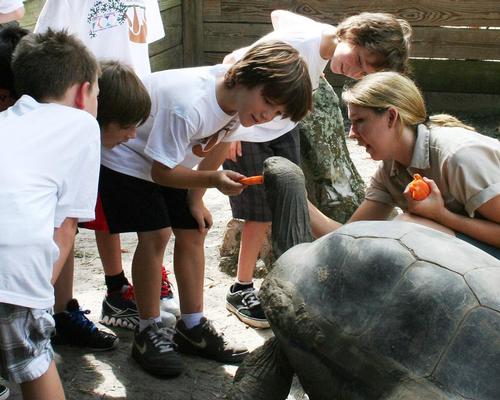 The zoo has an existing education programme which serves around 191,000 children annually