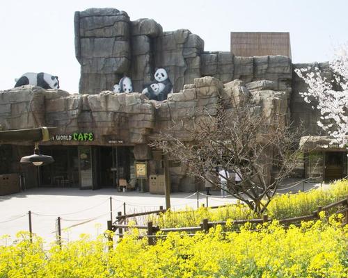 The main building has been clad with artificial rock, to embed Panda World into the landscape