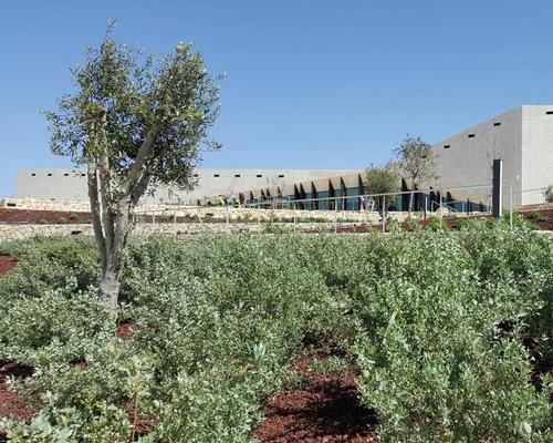 Museum chair Omar al-Qattan said that Palestinians were “so in need of positive energy” that opening a museum completely void of an exhibits would still be worth the effort