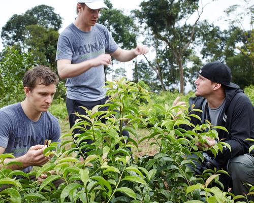 Channing Tatum teams up with tea company Runa for Amazonian healing centre