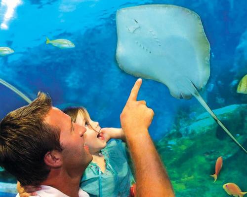 An unnamed private investor is behind the aquarium plans