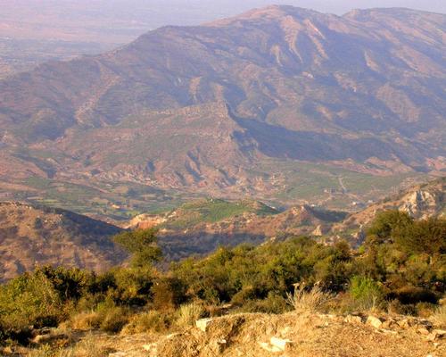 The National Safari Park will be established at the Salt Range in Kallar Kahar