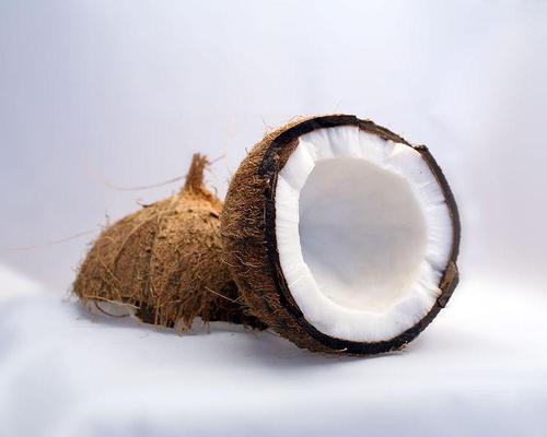 To protect their internal seed, coconuts have a structure of three layers which allow them to withstand heavy impacts / Robert Wetzlmayr