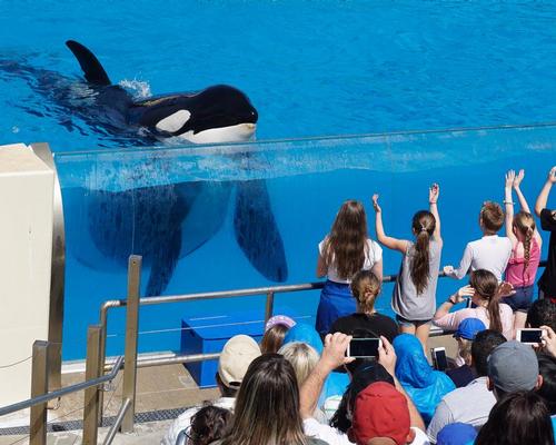 SeaWorld's current generation of orcas are the last it will house / Press Association