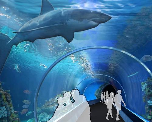 The aquarium’s main feature will be a shark tank holding one of the largest collections of sharks in the Midwest