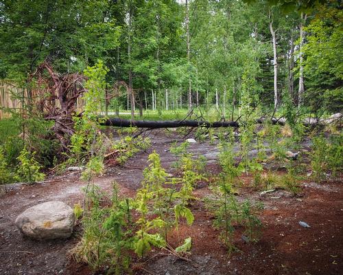 Carbone is a charred tree trunk, partially cut into pieces that highlights the importance of preserving nature / International Garden Festival
