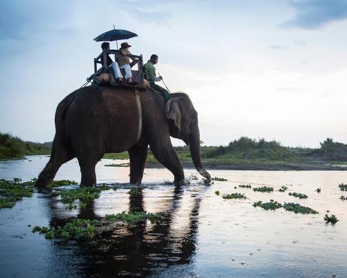 Guests can enjoy elephant tours / Taj Safari