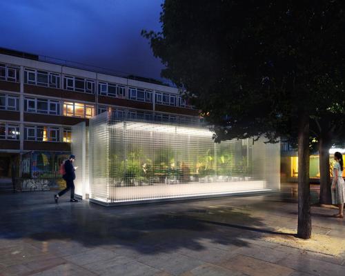 Asif Khan designs tiny forests for London to bring calm to city's streets