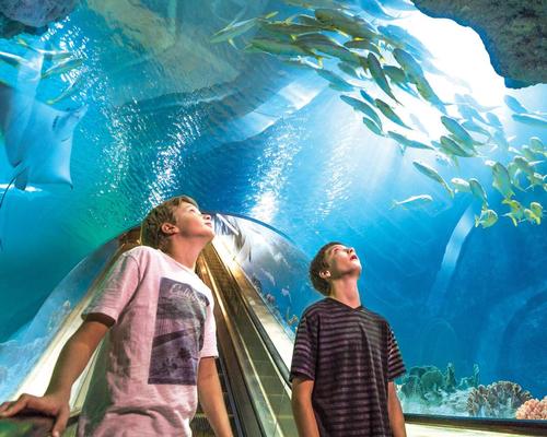 Visitors can travel up and down escalators inside transparent acrylic tubes and slides, allowing them to view the marine life as they travel from floor to floor aquarium 