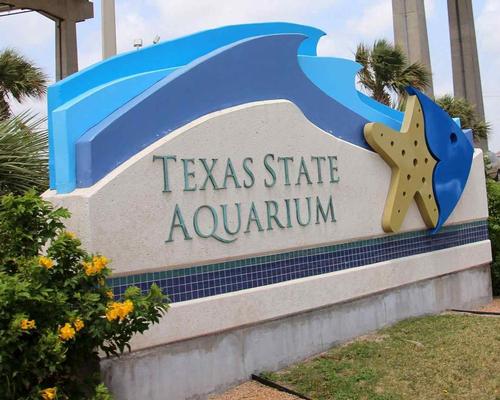 All but two of more than 400 fish in the aquarium’s Islands of Steel exhibit died when the lethal carcinogen was introduced 