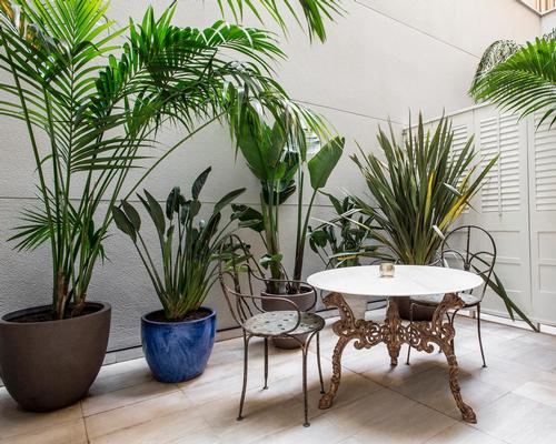 Many of the 56 rooms have their own green terrace / Midmost Hotel