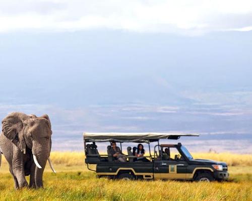 African tourism captialising on wellness market with 'mindful safari' experiences 