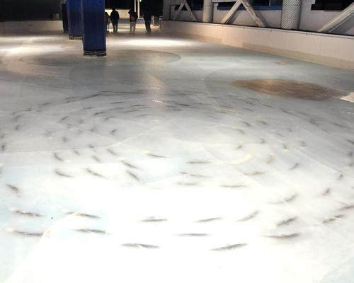 Japanese theme park suffering social media backlash over dead fish ice rink