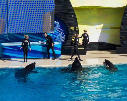 The cuts will be spread across the company’s 12 theme parks, including its SeaWorld parks in Orlando, San Diego and San Antonio / Shutterstock.com