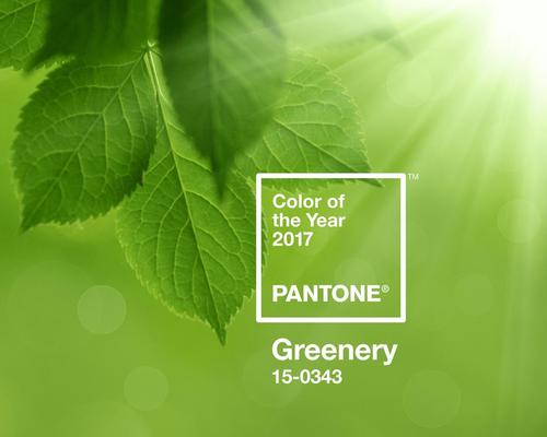 Greenery is the colour of 2017 / Pantone