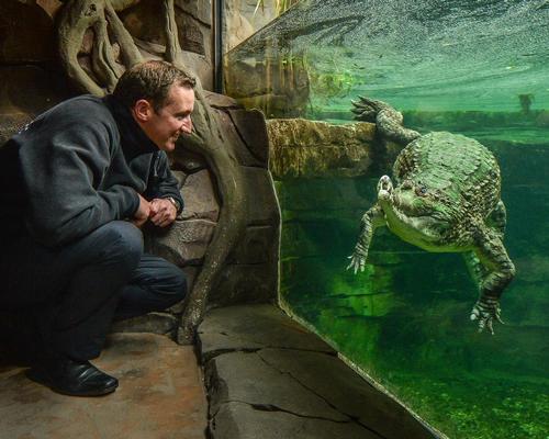 Starting this month, the zoo will embark on a new phase of improvements to its exhibits – a £7m (US$9.4m, €8.3m) investment to enhance the habitats of its inhabitants