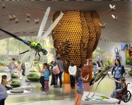The new Insectarium will feature live insects, collections of insect specimens, scientific tools used for conducting research, exhibits, and digital displays