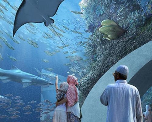Giant Oman aquarium coming to Palm Mall in 2018
