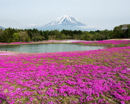 Japan targets national parks as next big tourism draw