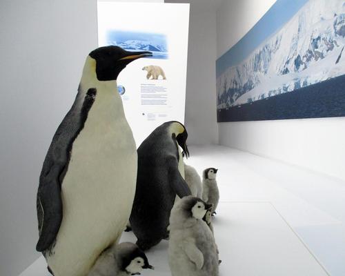 Penguins and polar bears are among the animals explained at the museum / Espace des Mondes Polaires