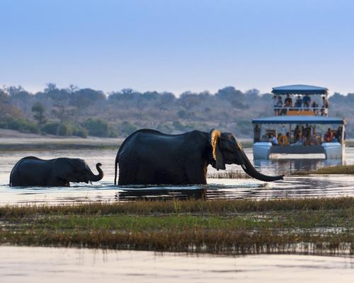Botswana introducing tourism tax to preserve wildlife