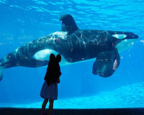 SeaWorld sinks as Easter delay sees Q1 revenue drop 15 per cent